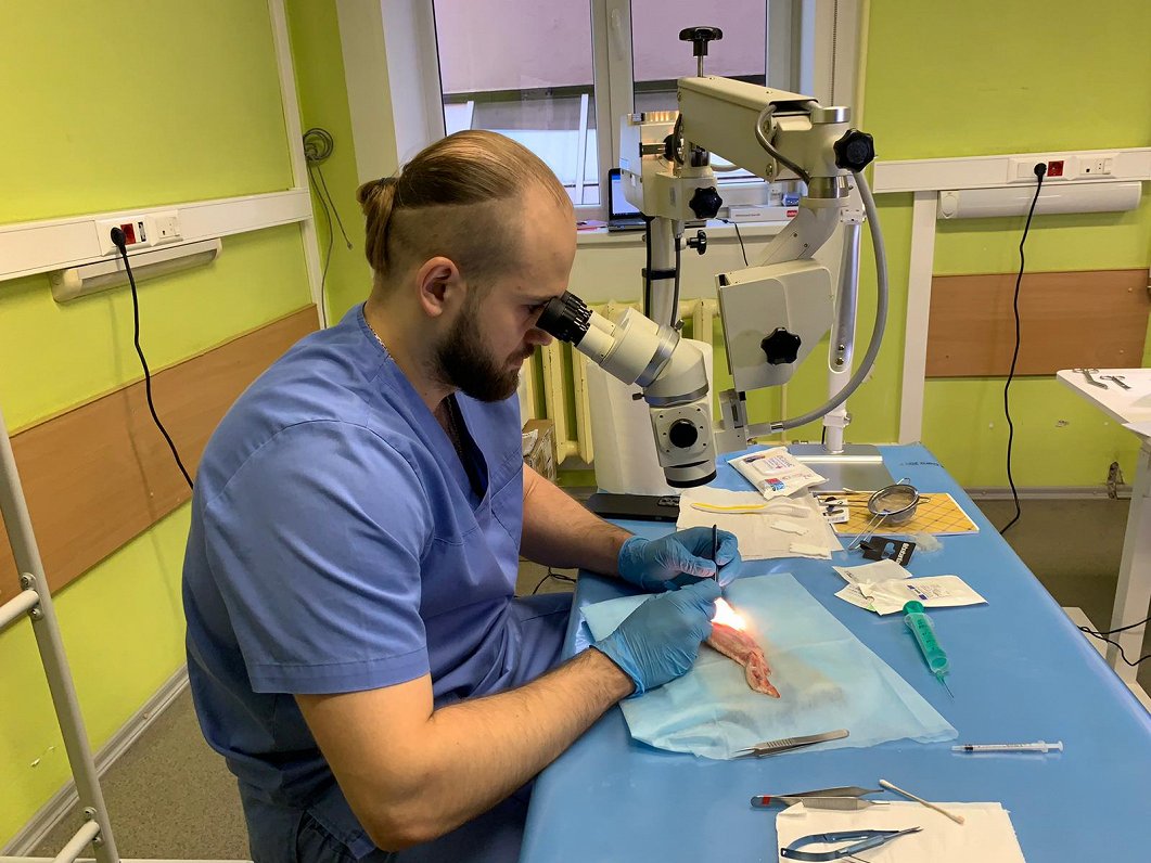 Ukraiņu ārsti apgūst mikroķirurga prasmes