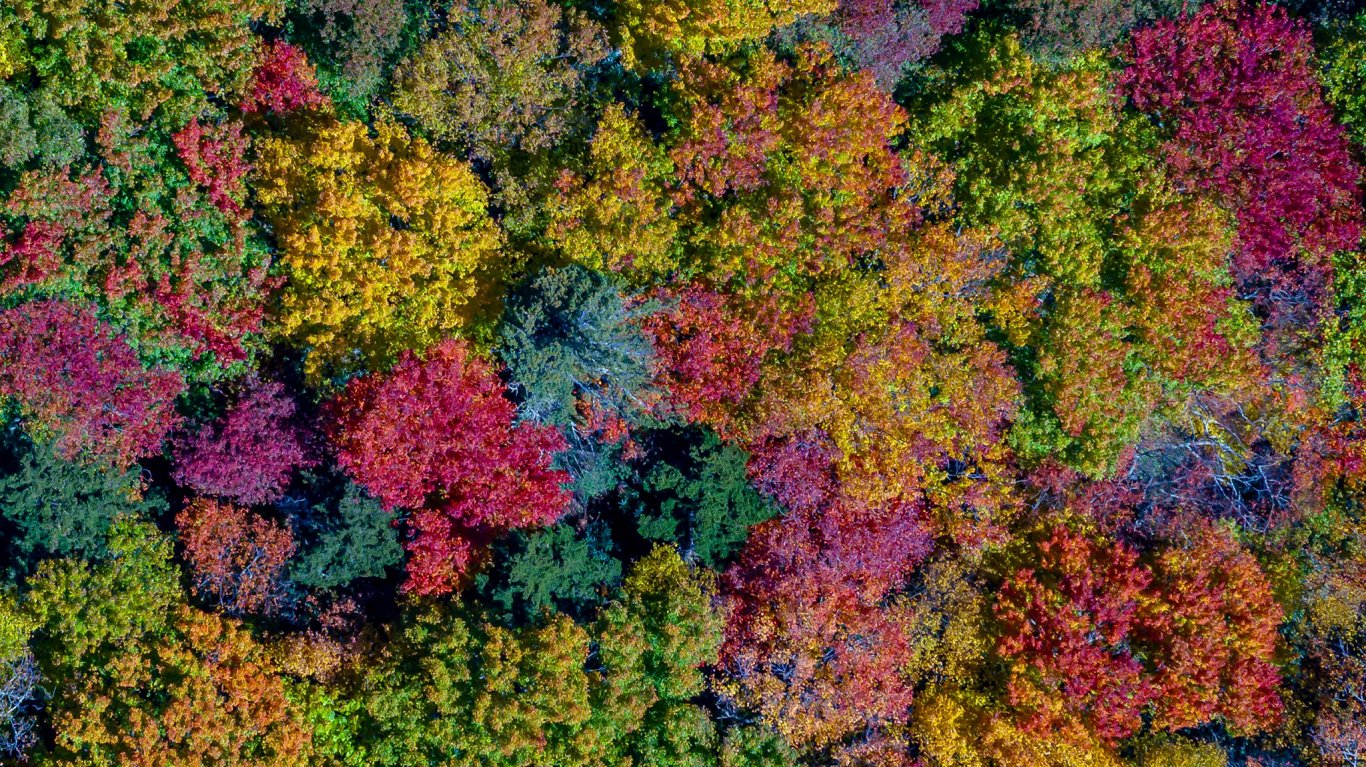 Ilustratīvs attēls: skats no putna lidojuma - mežs Ziemeļkarolīnas, ASV kalnos