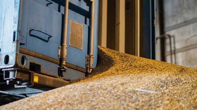 Чтобы санкции работали, запрет на импорт зерна из России нужен на уровне ЕС — министр