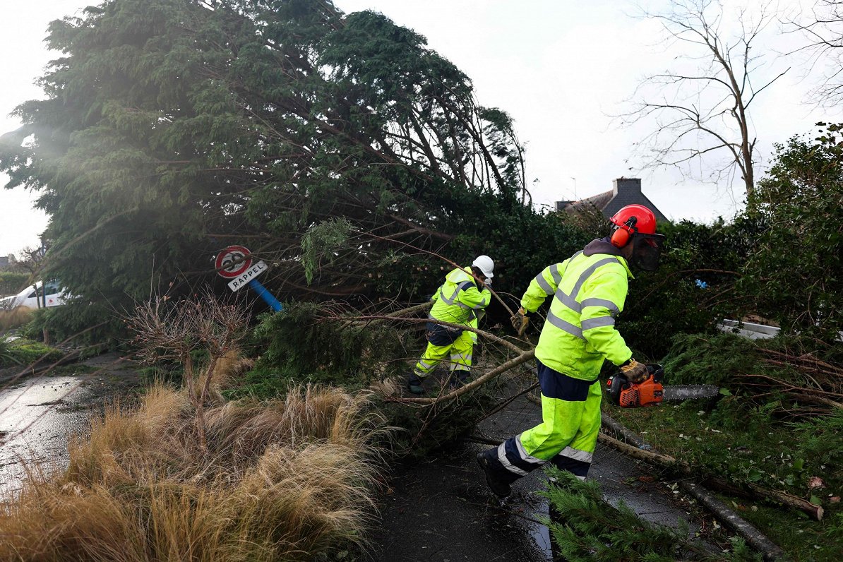 Francijā darbinieki novāc vētras izgāztus kokus