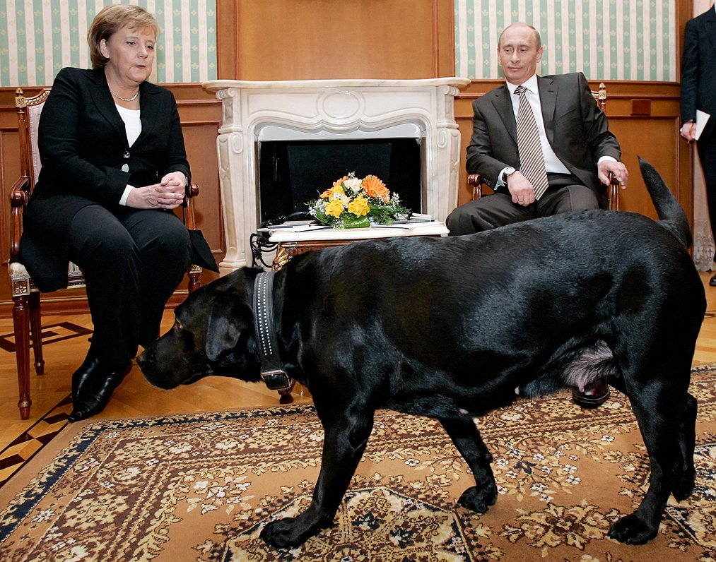 2007. gadā, kad Merkele apmeklēja Putina rezidenci Sočos, namatēvs tīšām ielaida sarunu telpā savu m...