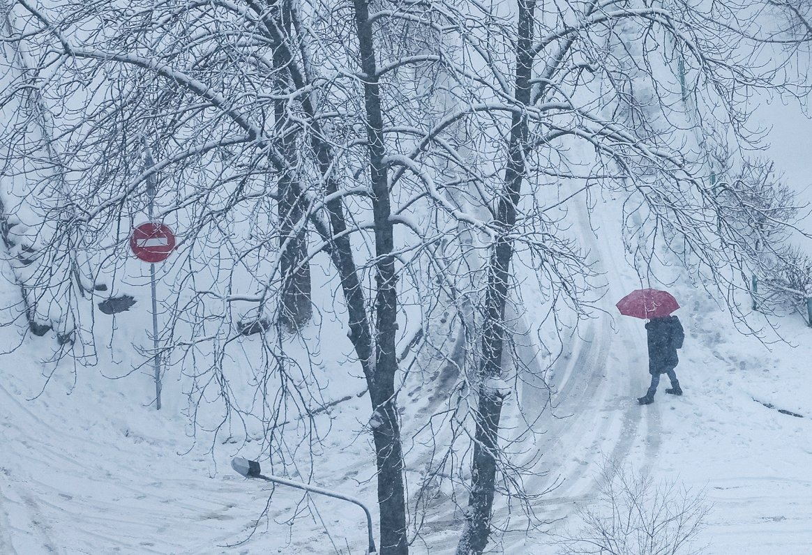 Снегопад в Киеве. Фото снято 01.12.2023