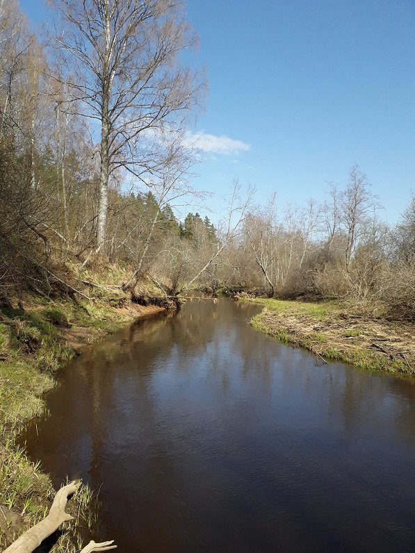 Melnupe river on the Latvia-Estonia border.