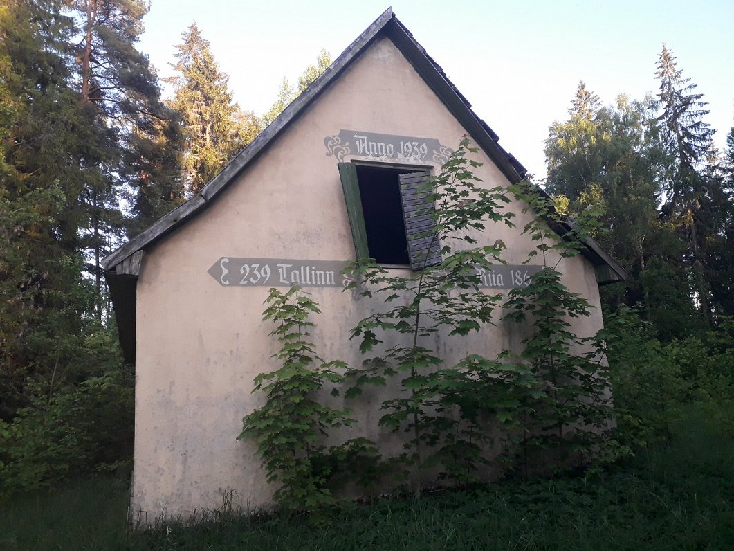 Vecs krogs Glēzera ezerā/Piirijärv uz Latvijas un Igaunijas robežas