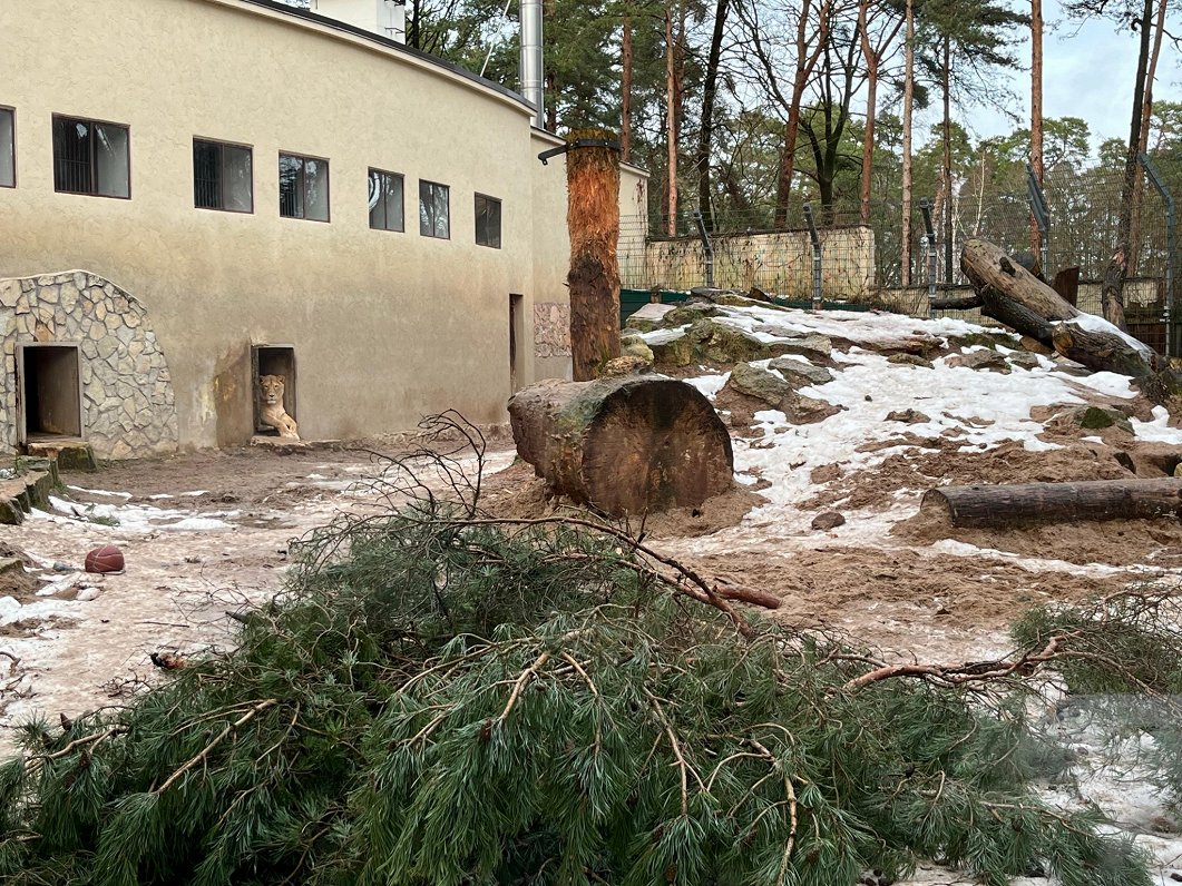 Rīgas zoo, 2023.gada decembris