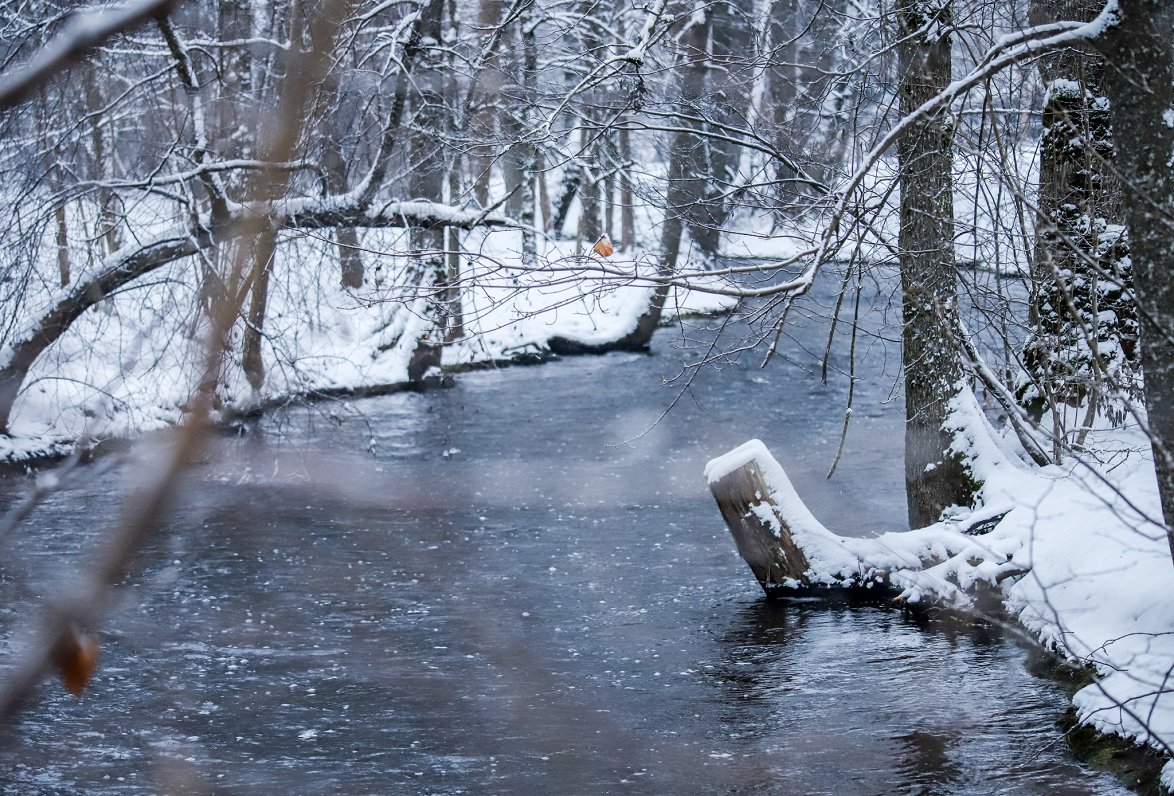 Cieceres upe pie Saldus ziemā. Attēls ilustratīvs.