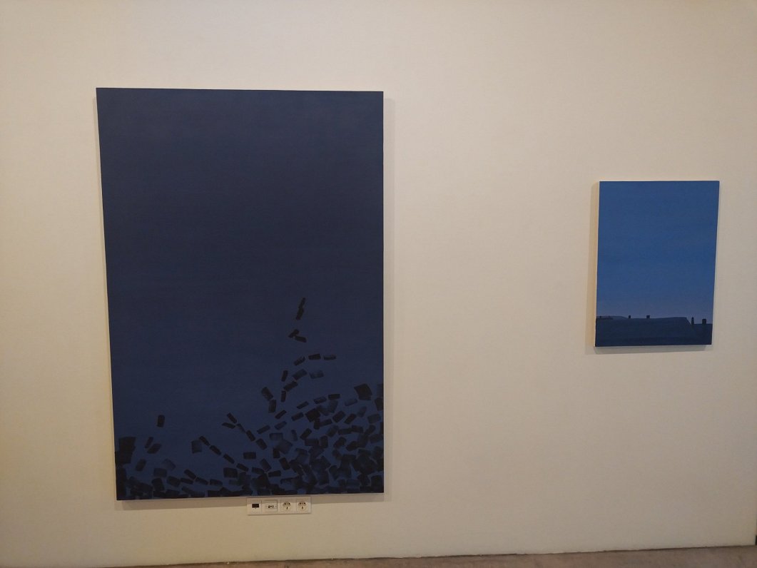 Выставка Мадары Нейкены в Риге