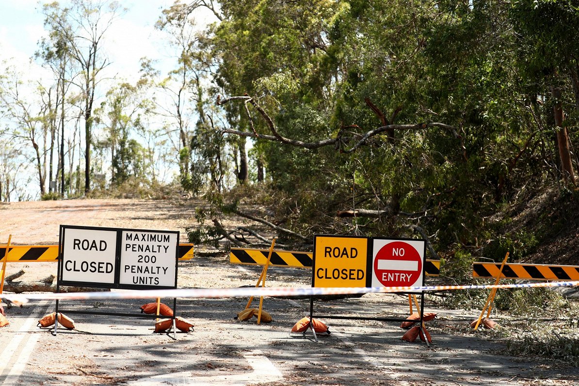 Vētras lauzti koki Kvinslendā, Austrālijā.