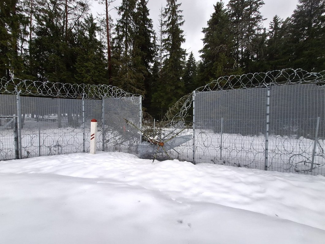 Забор на восточной границе Латвии