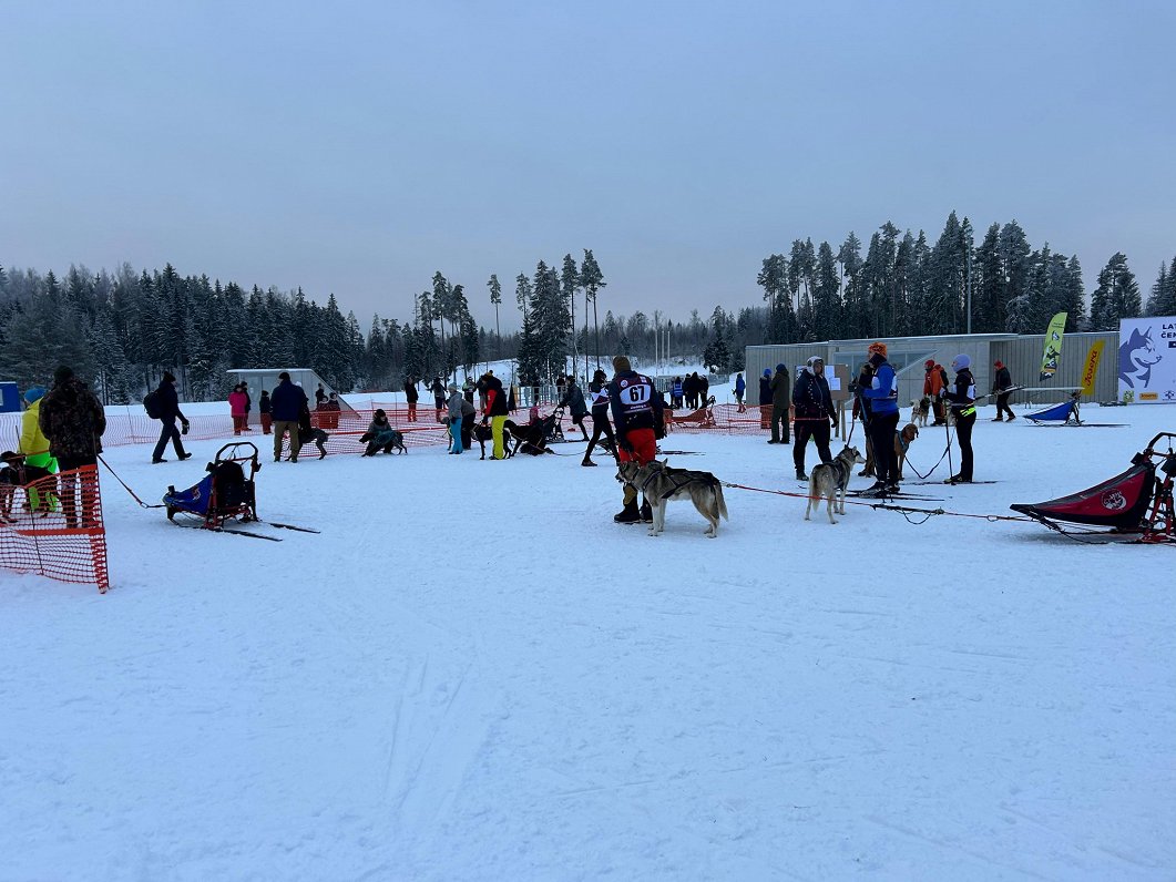 Sniega suņu sacensības Madonā