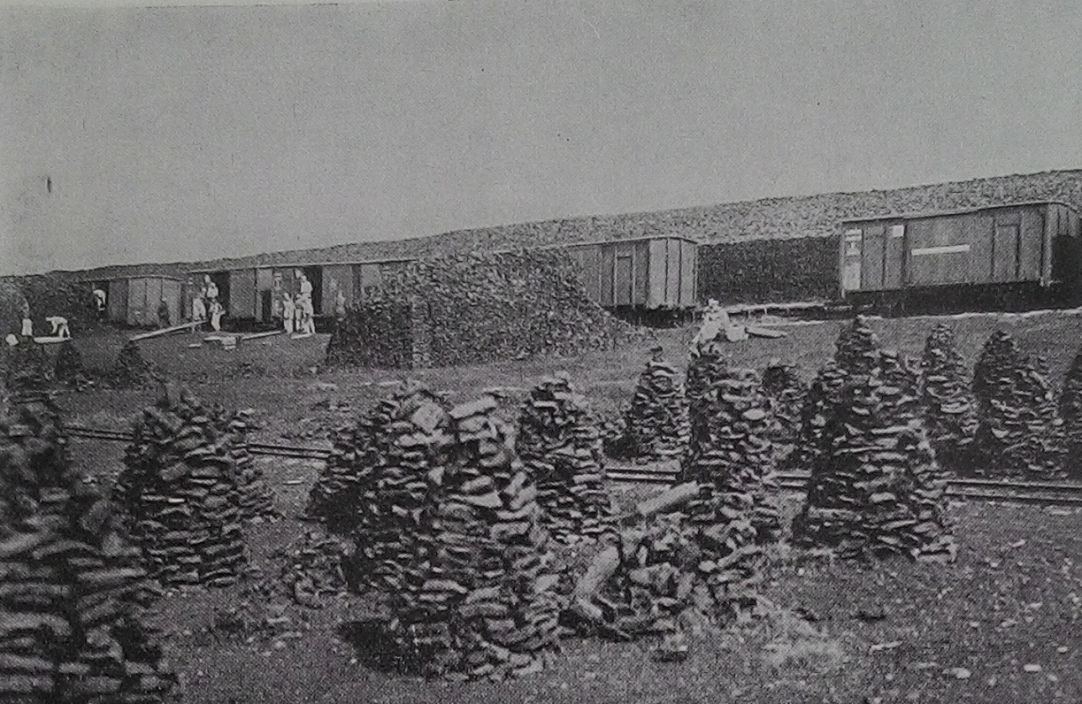 Dedzināmās kūdras transports netālu no Vaboles dzelzceļa stacijas. 1939. gads.