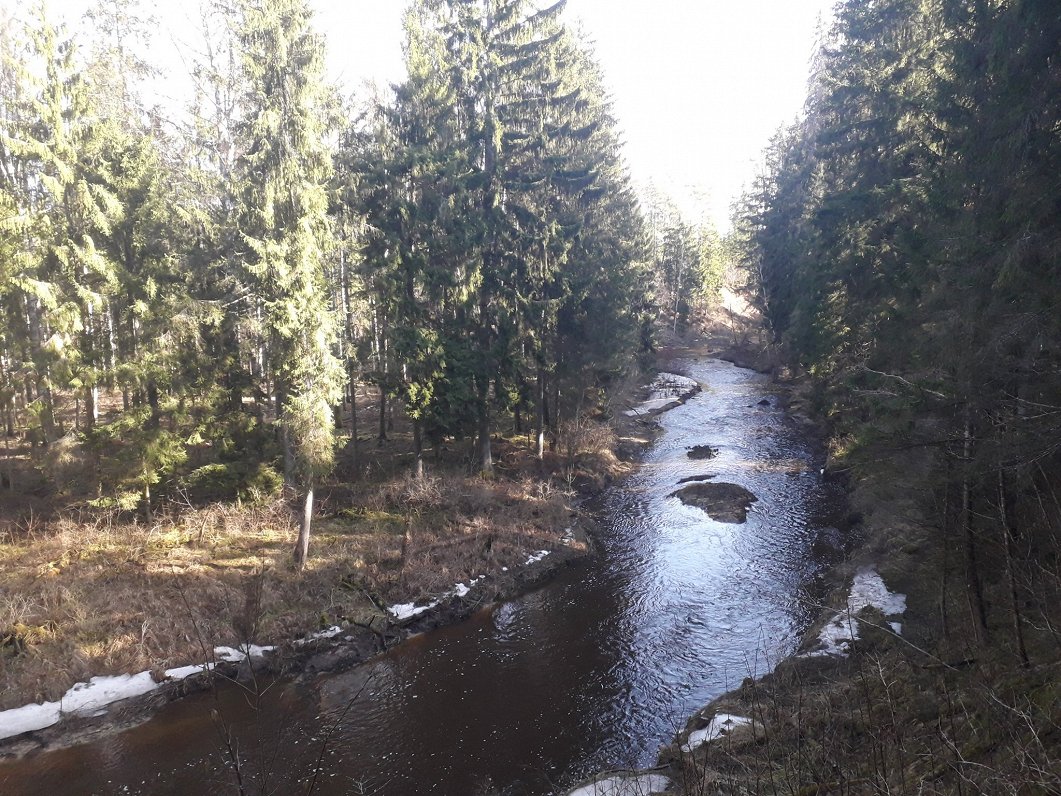 Viesata river, Latvia