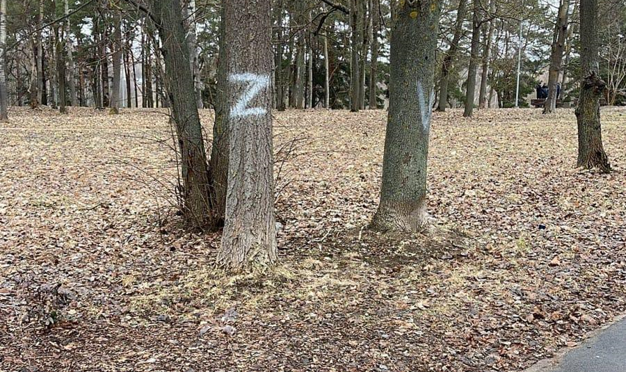 Daugavpilī brīvdienās apķēpāti koki ar Z un V simboliku