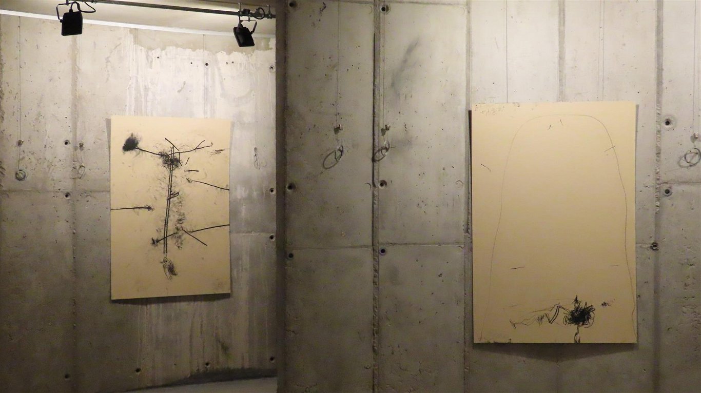 Выставка Илмарса Блумбергса «Нарисовано с закрытыми глазами» в Липае
