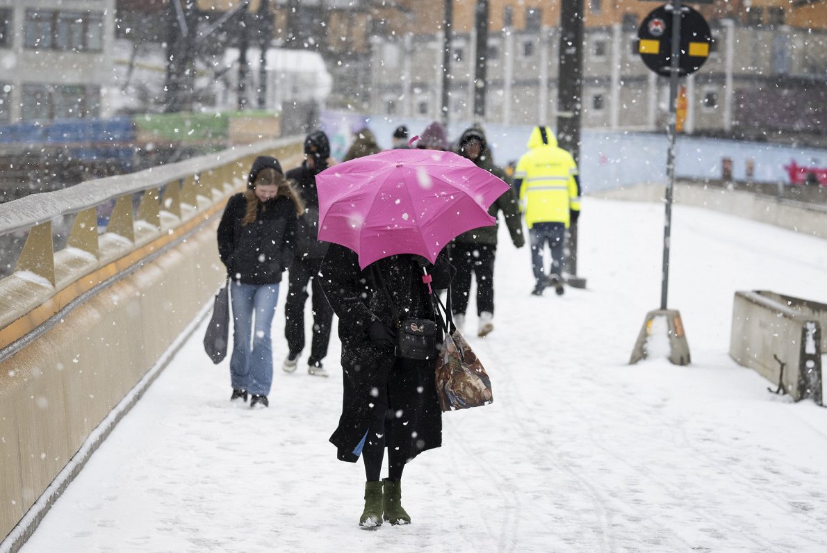 Снегопад в Стокгольме. 2.04.2024
