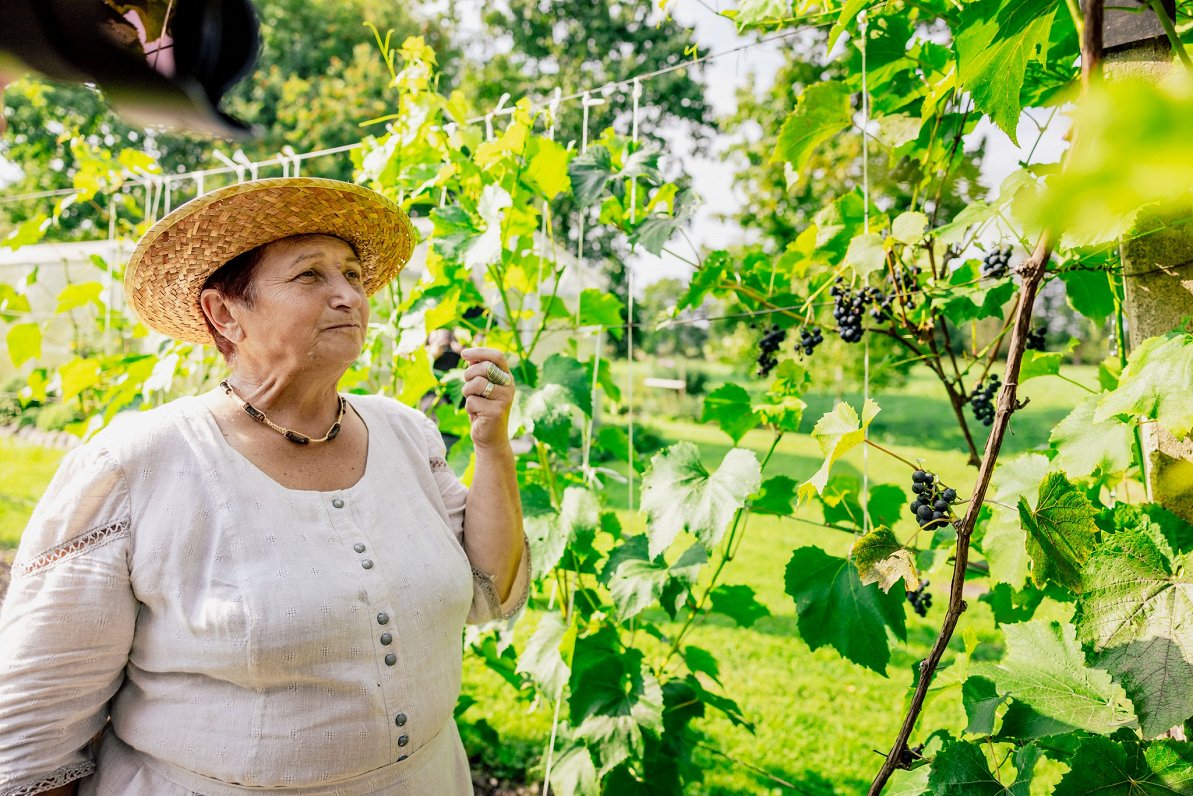 Dvietes muižas saimniece, biedrības “Dvietes vīnogas” priekšsēdētāja Vanda Gronska Paula Sukatnieka...