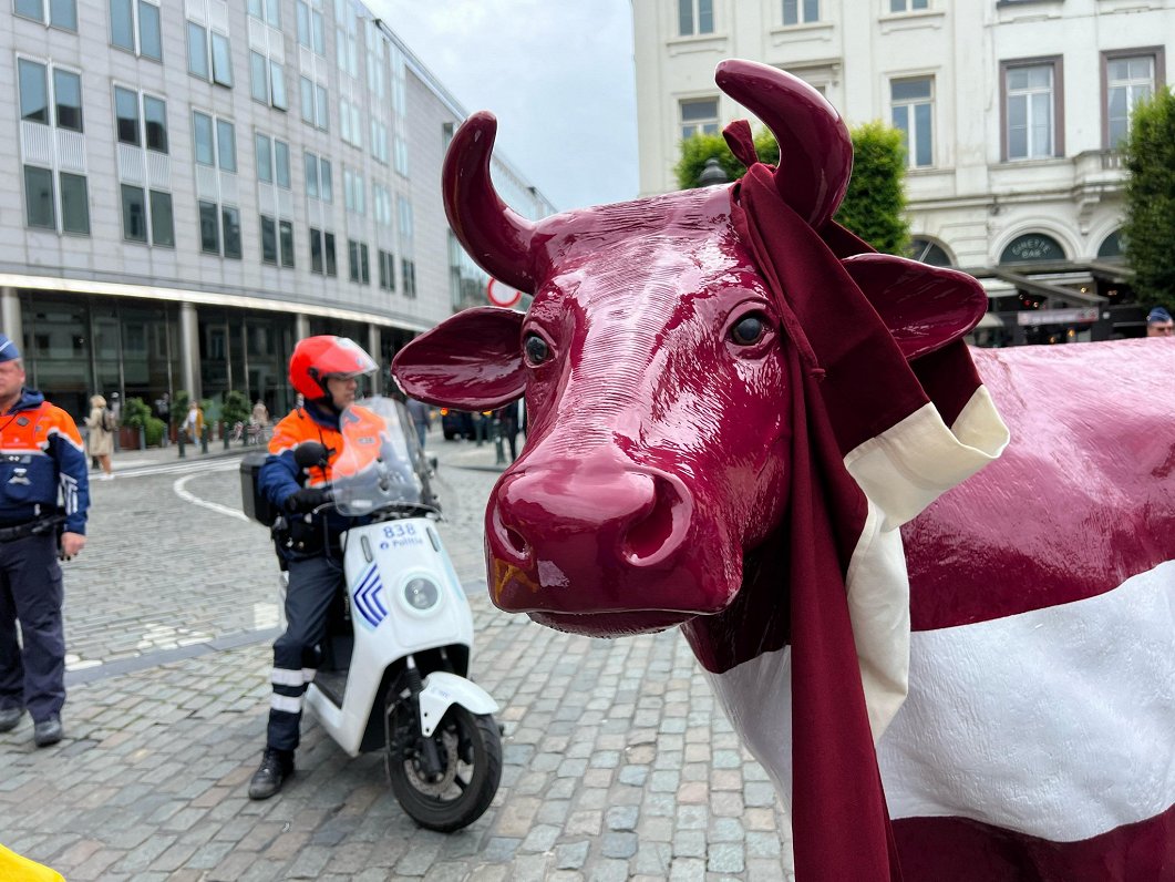 Eiropas piensaimnieku protesta akcija Briselē
