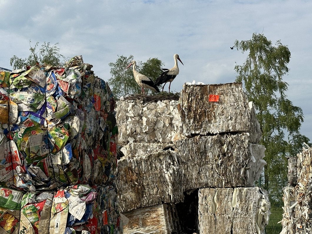 Atkritumu šķirošanas komplekss Grobiņas atkrituma poligona „Ķīvītes” teritorijā.