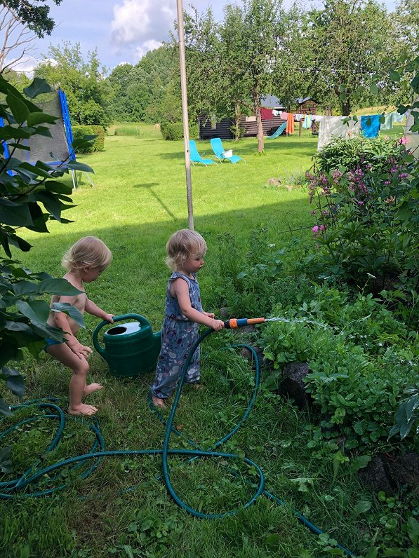 Ar māju maiņu iespēja iemainīt arī pienākumus – dvīņi Nora un Toms izmēģina dārza laistīšanu,