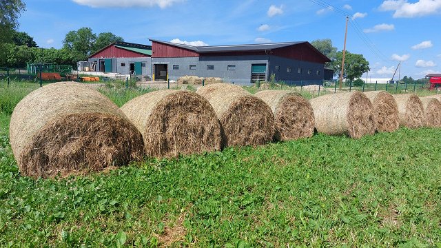 Lauksaimnieki agrāk nekā citus gadus jau pļauj pirmo zālāju ražu skābbarībai