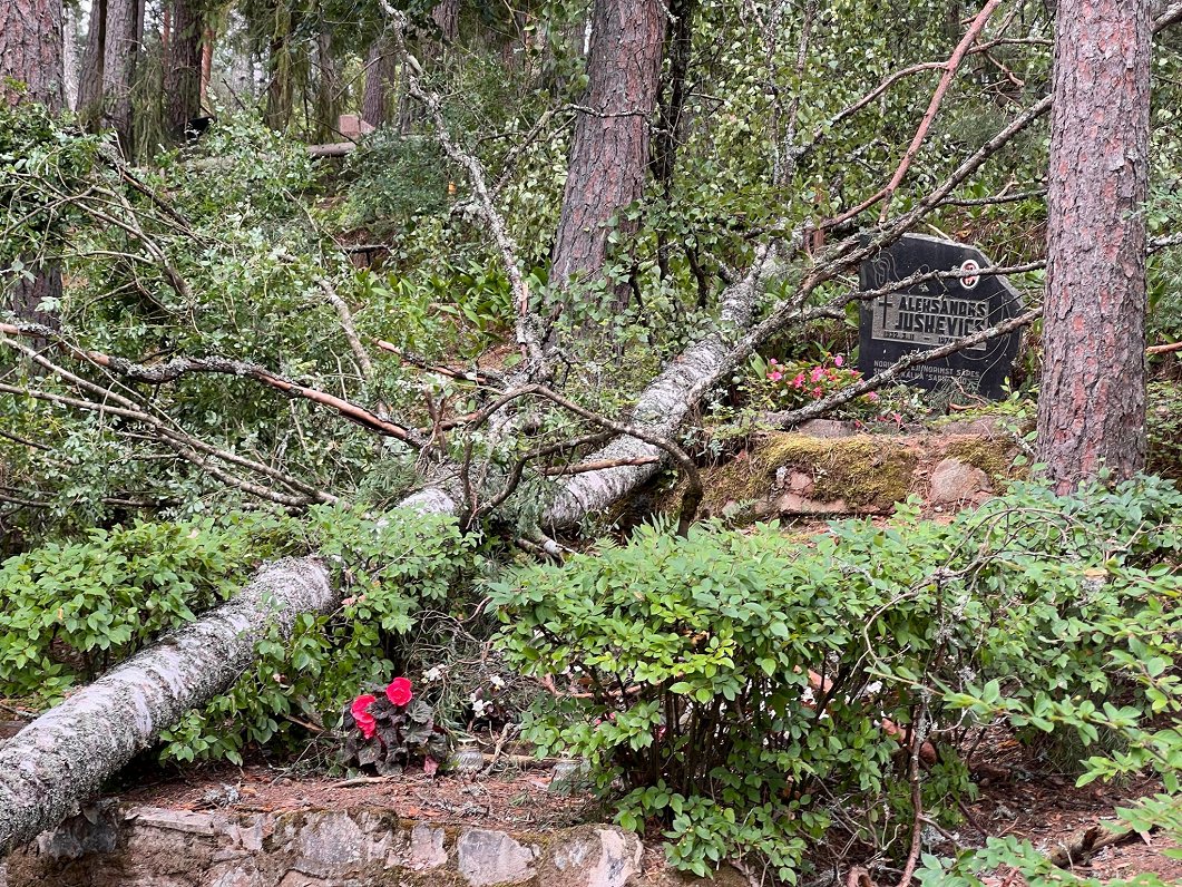Vētras postījumi Meža kapos Cēsīs.