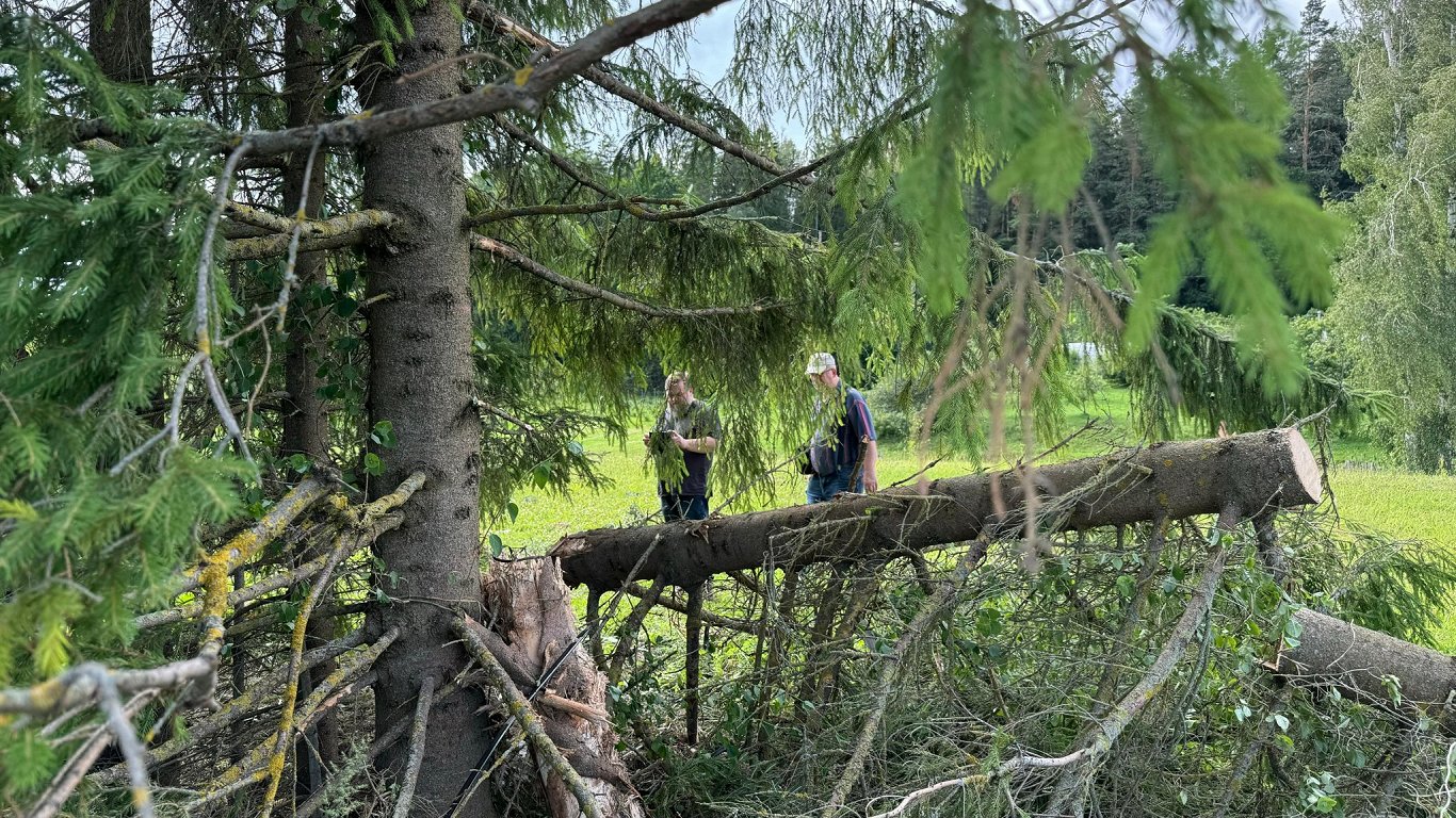 Tukuma novada notikušās traģiskās avārijas vieta, 07.07.2024