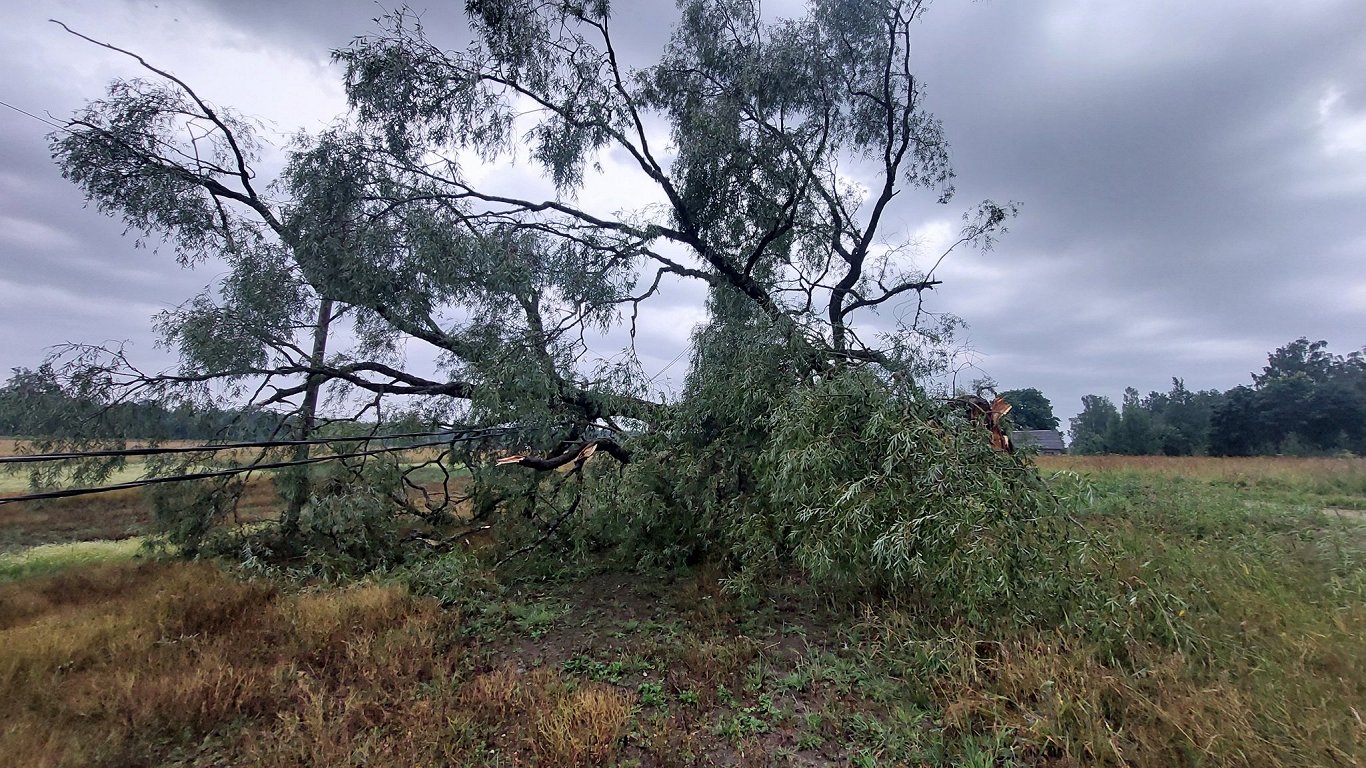 Vētras radītie postījumi