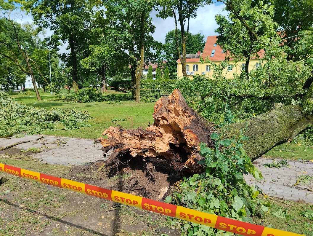 Arī citas vietvaras piedāvā palīdzību vētras izpostītajai Bauskai; iedzīvotājus aicina vispirms mēģināt tikt galā pašiem