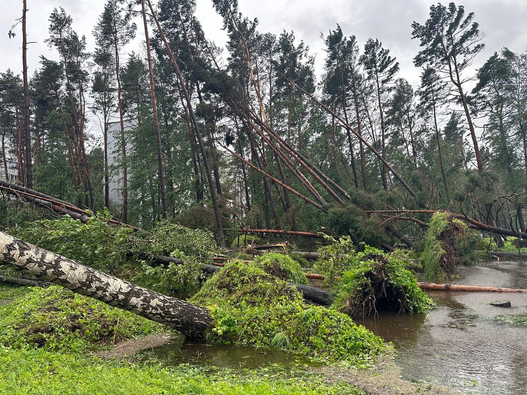 Vētras radītie postījumi Jūrmalā.