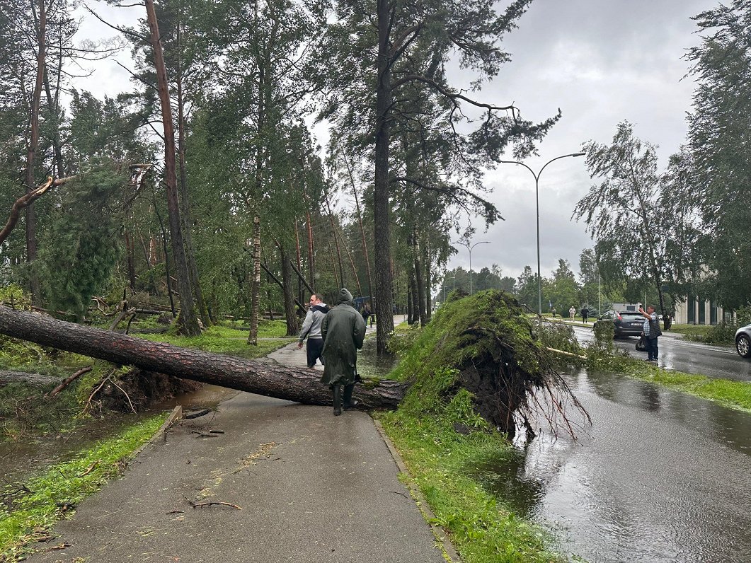 Vētras radītie postījumi Jūrmalā.