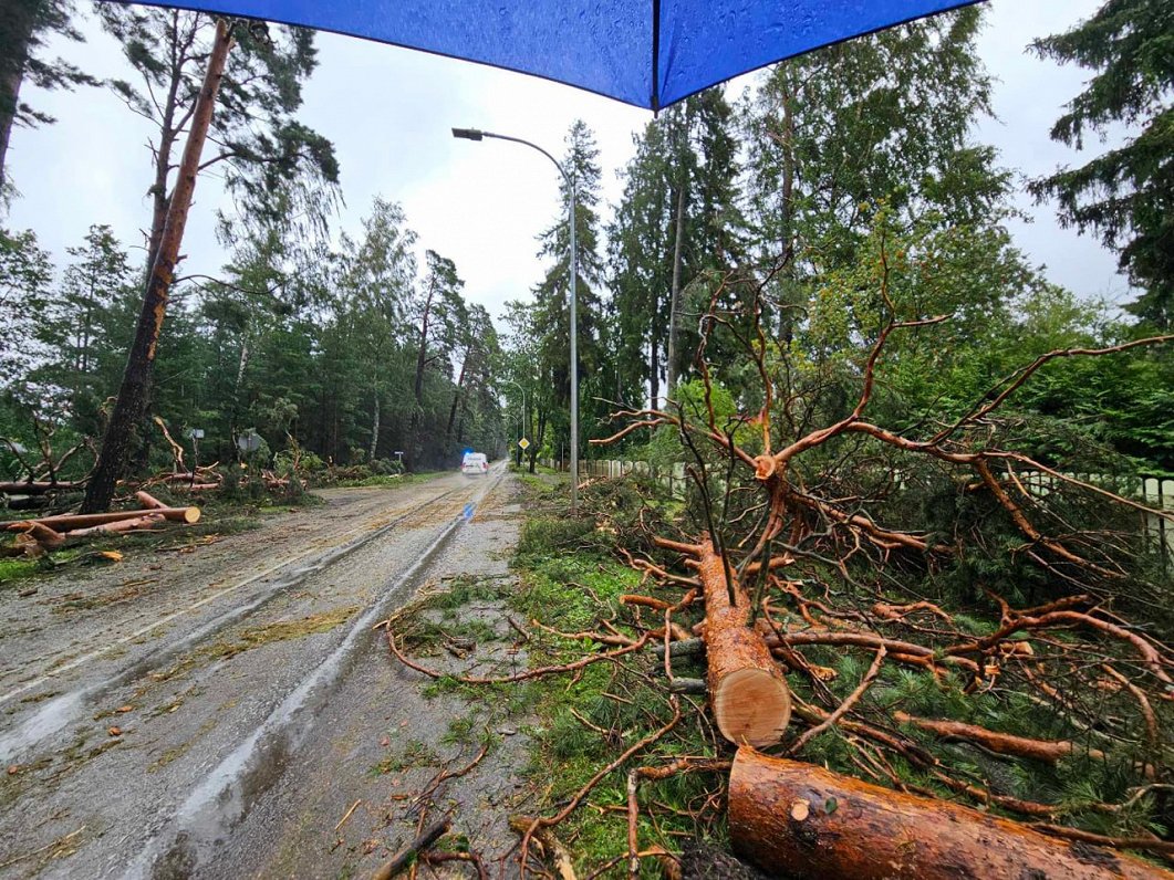 Vētras radītie postījumi Jūrmalā.