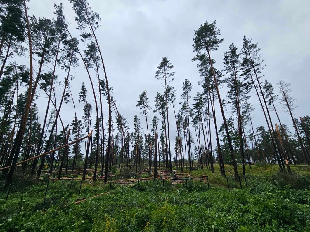 Vētras radītie postījumi Jūrmalā.