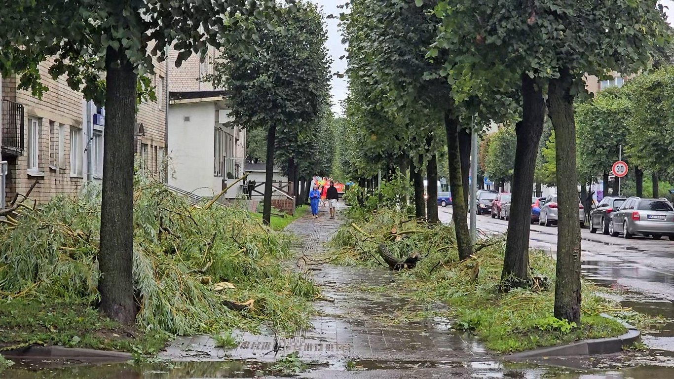 Stiprā vēja un lietus sekas Jelgavā.