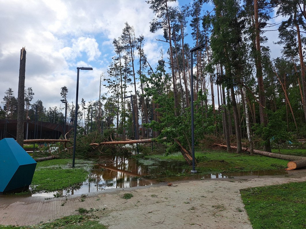 Ministru prezidente Evika Siliņa apmeklē vētras izpostīto Kauguru parku.