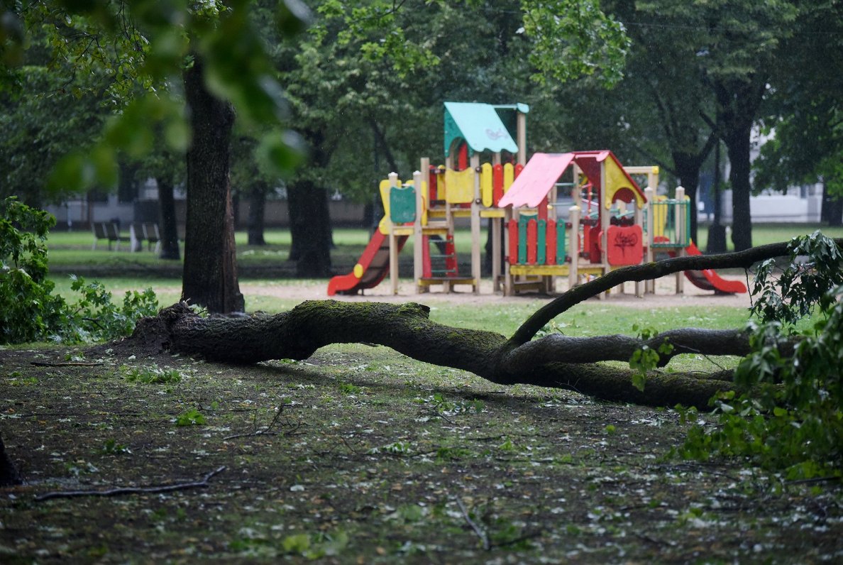 Stiprā lietus un vētras postījumi Kronvalda parkā 2024. gada 29. jūlijā