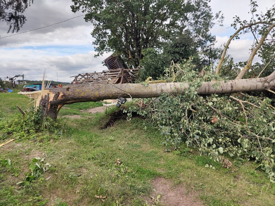 Ущерб, нанесенный бурей в Олайнском крае