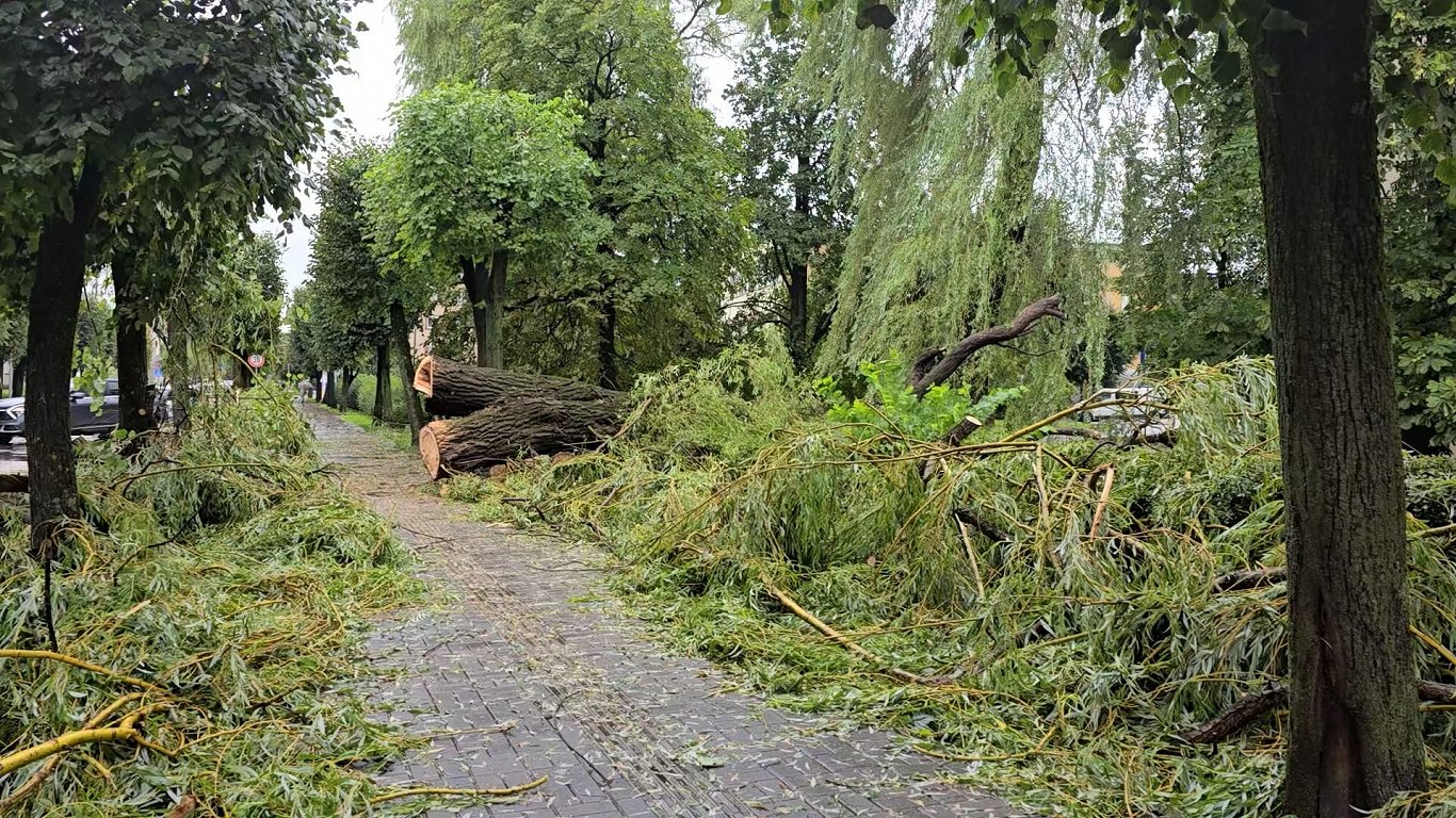 Stiprā vēja un lietus sekas Jelgavā.