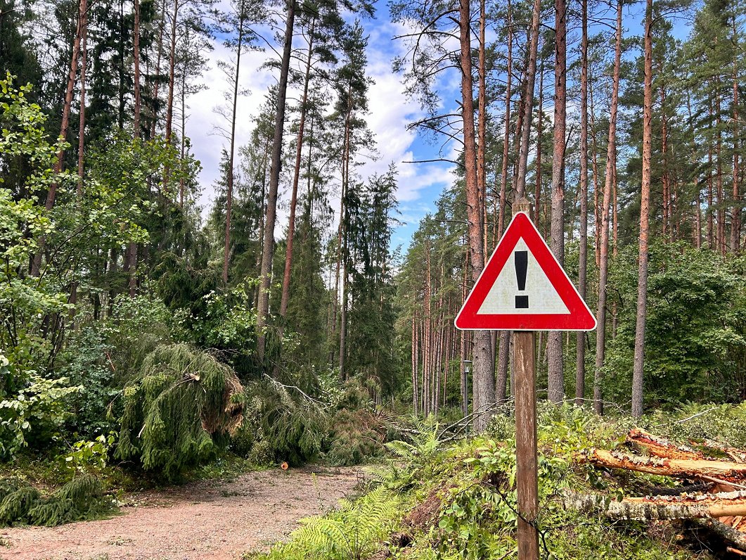 Vētras postījumi Tērvetes dabas parkā.