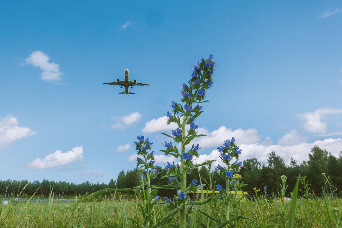 Riga Airport carbon neutral pledge