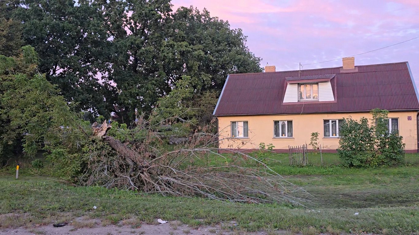 Postījumi Jelgavas pilsētā