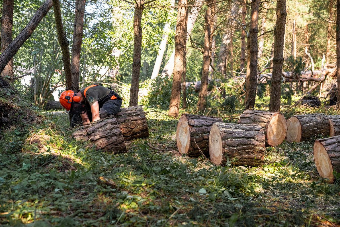 Устраняют последствия бури