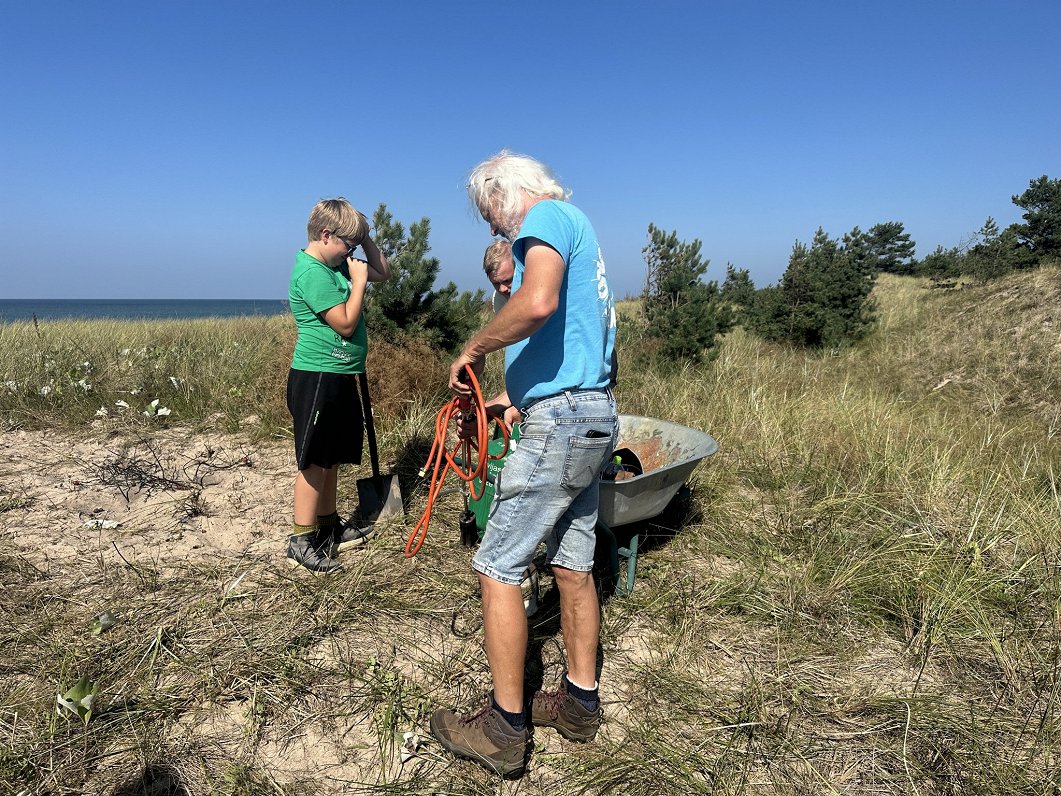 Cīņa ar invazīvo krokaino rozi Ziemupes kāpās.