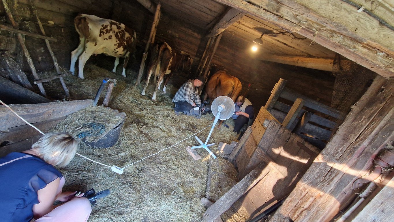 3 govis, 2 kameras un ventilators.