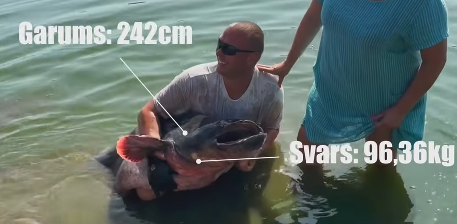 Noķertais sams svēris vairāk nekā 96 kg