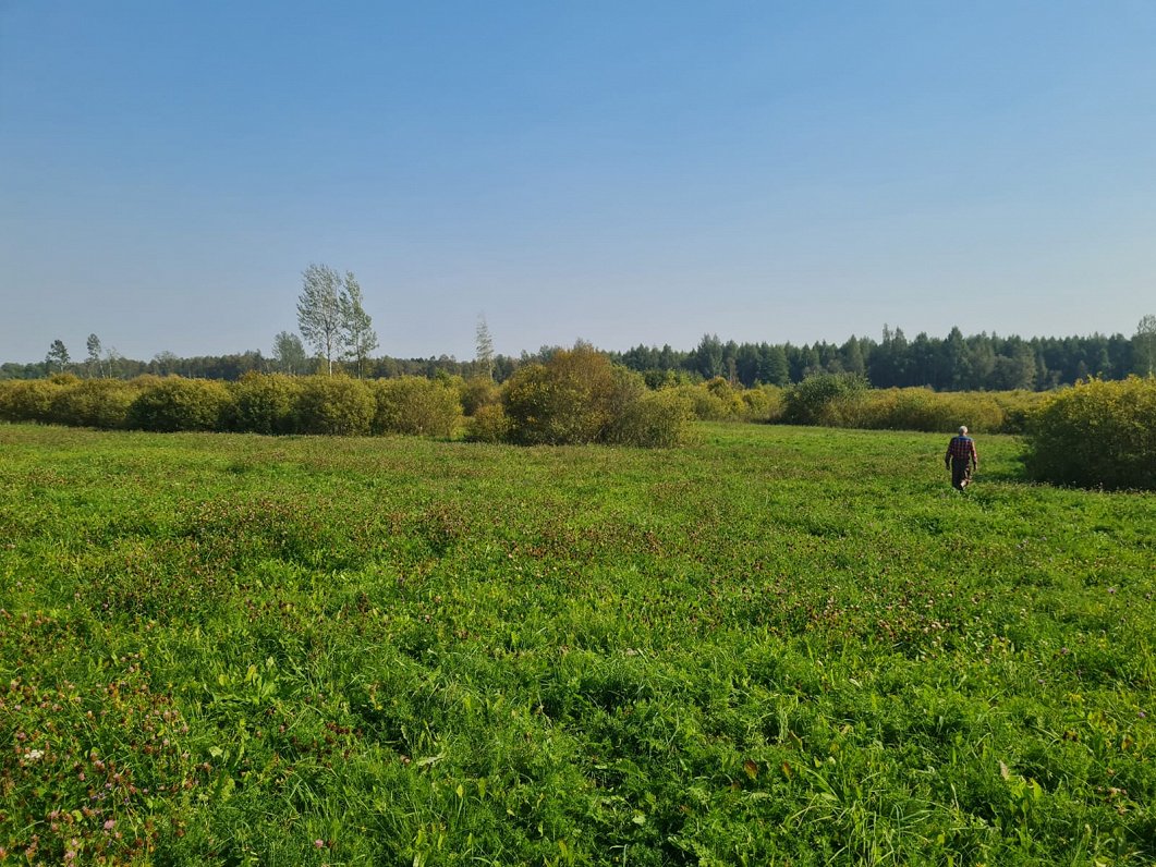 Gaigalavas pagasts, Foļvarka.