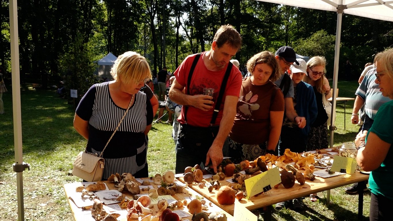 Cilvēki aplūko sēnes kulinārijas festivālā Zaubē.