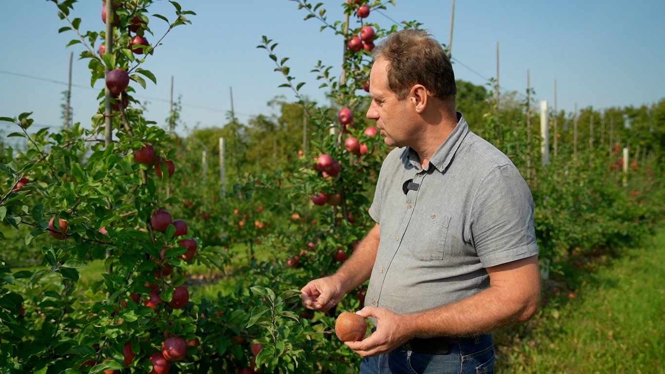 Dobeles dārzkopības institūta vadošais pētnieks Edgars Rubauskis