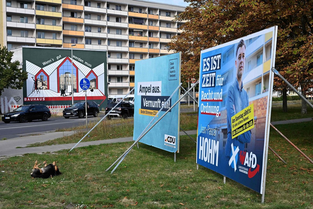 Vācijas populistisko partiju vēlēšanu plakāti.