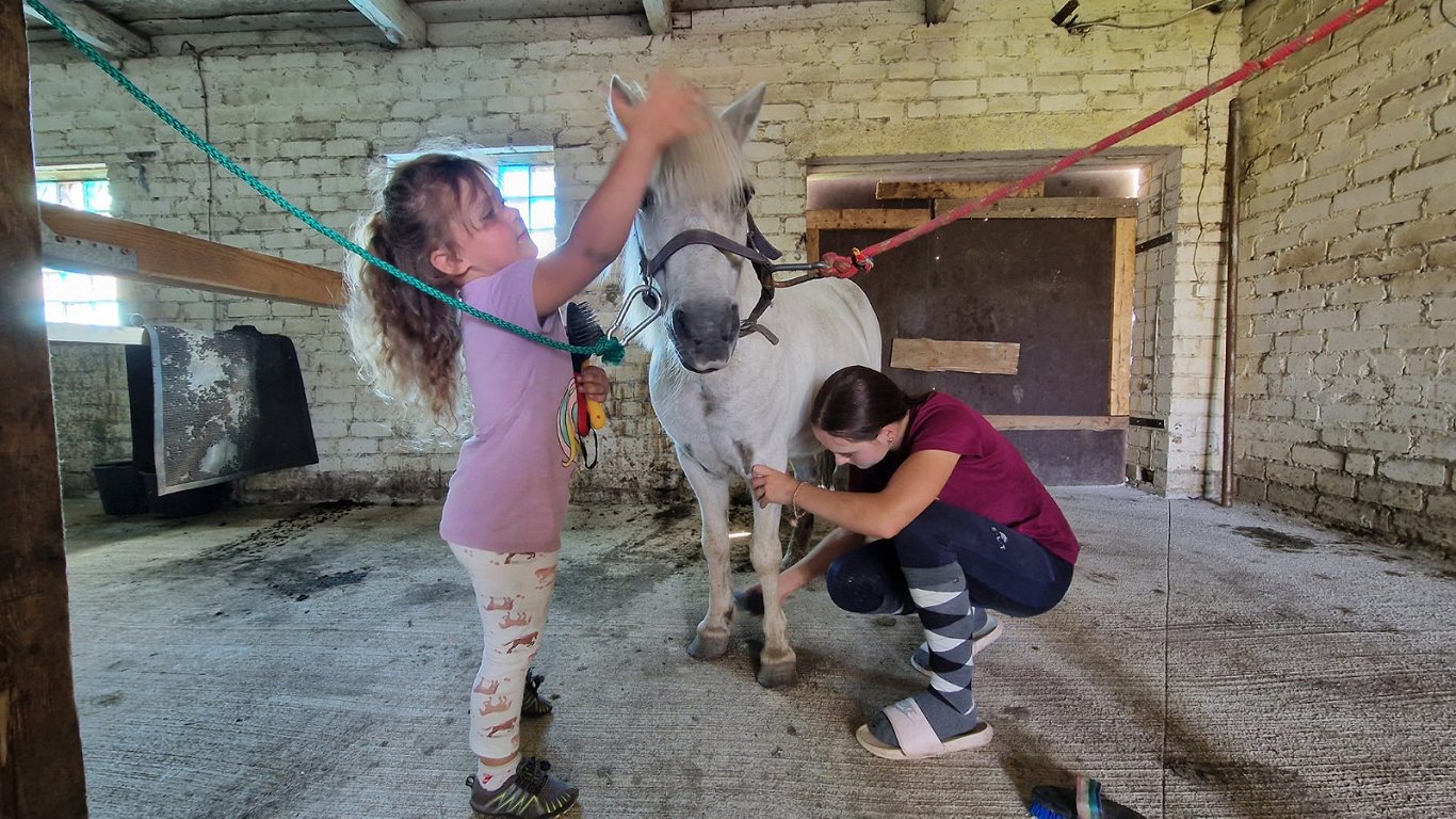 Mazās jātnieces pašas gatavo poniju treniņam.