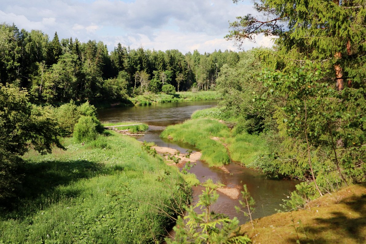 Gauja.